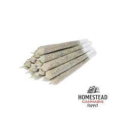 Homestead - Bangtail Pre-Rolls 10x0.5