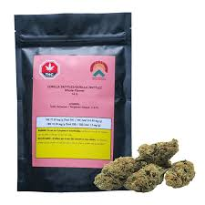 Green Mountain Health Alliance - Gorilla Zkittlez - 14G