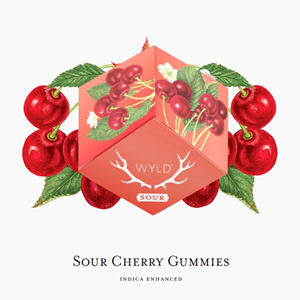 Wyld - Real Fruit Sour Cherry Gummies 10X1Pc - 40G