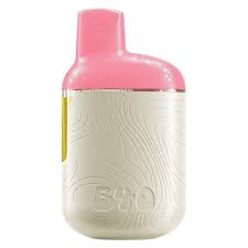 Back Forty - Strawberry Pink All-In-One Vape - 0.95G
