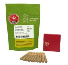 Common Ground - Jelly Doughnutz Pre-Rolls 10x0.5-5G