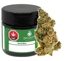 5 Points Cannabis - Sacre Bleu - 3.5G
