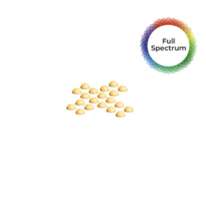 Laughing Ass By The Hazy Camper - Full Spec Dimes - 9G