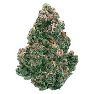 Back Forty - Liquid Imagination - 7G