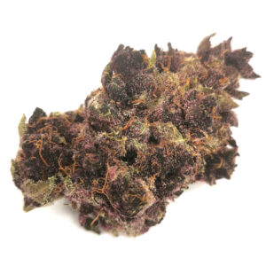 Orchard - Tropical Cherry - 7g