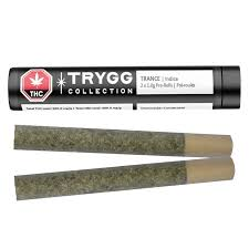 Trygg - Trance Pre-Rolls 2x1- 2G
