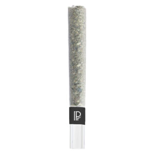 Pistol And Paris - Lindsay OG Bubble Hash Infused Pre-Roll - 1.5G