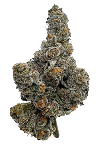 Amani Craft - Gastro Pop Premium Smalls - 3.5G