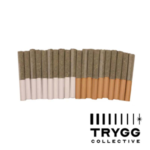 Trygg - Block Party - Dawn To Dusk Pre-Rolls - 10G