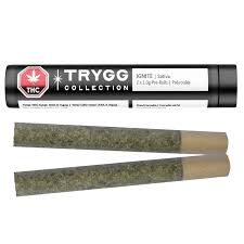 Trygg - Ignite Pre-Rolls 2x1- 2G