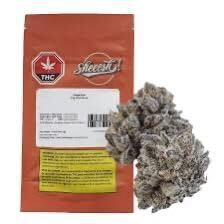 Sheeesh! - Jungle Kush - 3.5G