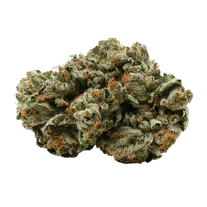 Pure Sunfarms - Pink Kush -  Indica 28G
